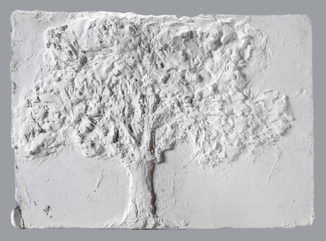 ARBRE - 2015 - plâtre - 41 x 29 cm